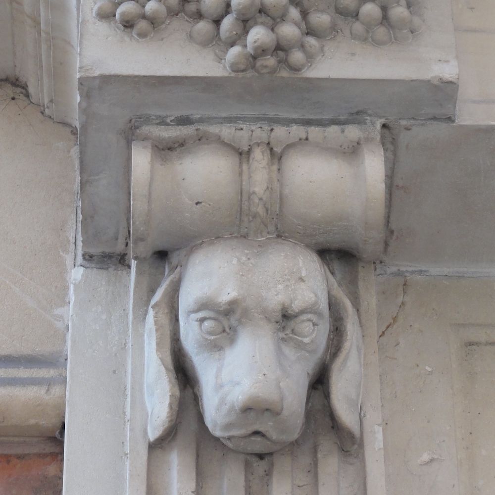 The Architectural Dog